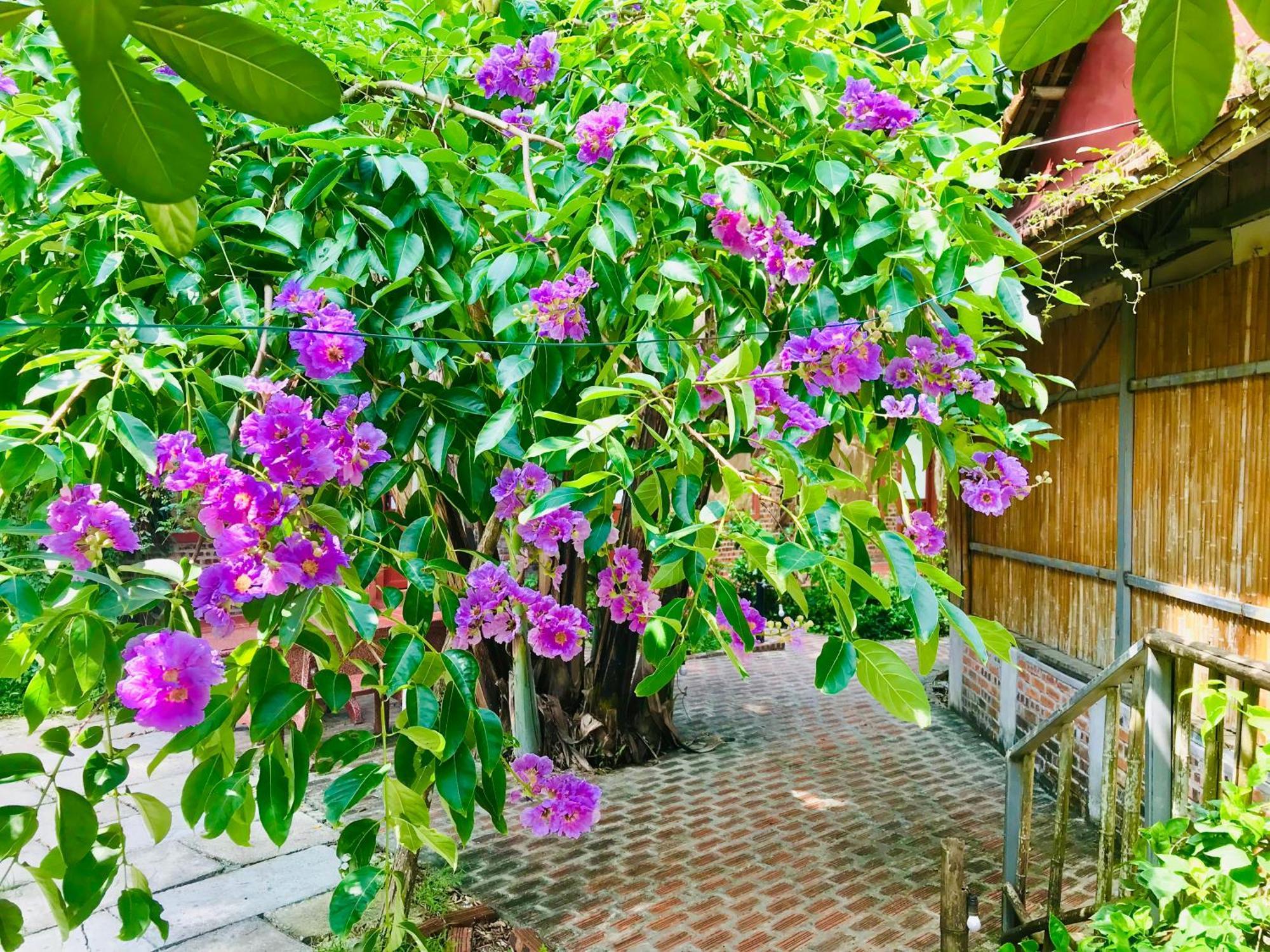 Lake Retreat Ninh Binh Eksteriør bilde