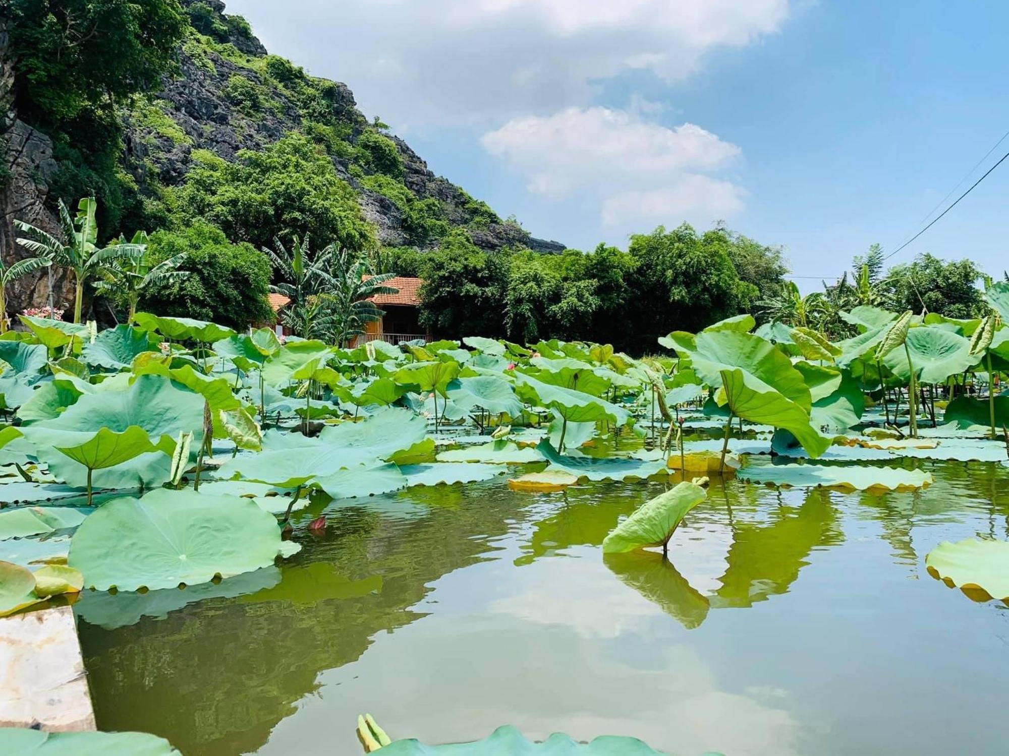Lake Retreat Ninh Binh Eksteriør bilde