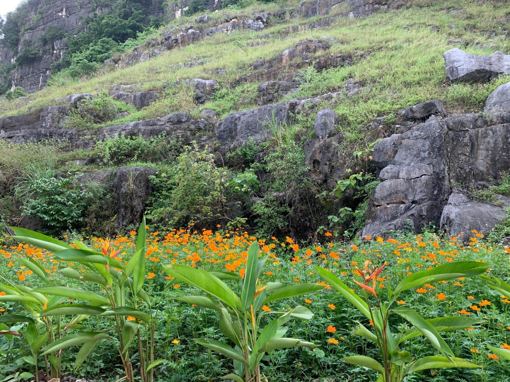 Lake Retreat Ninh Binh Eksteriør bilde